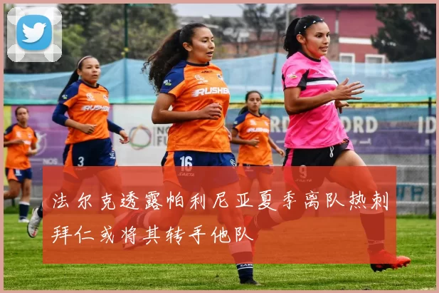 法尔克透露帕利尼亚夏季离队热刺拜仁或将其转手他队
